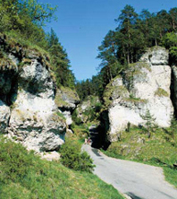 in_der_Schlucht